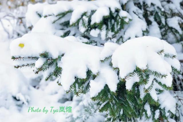 如何拍好雪景？掌握这几个关键点，照片不会差休闲区蓝鸢梦想 - Www.slyday.coM