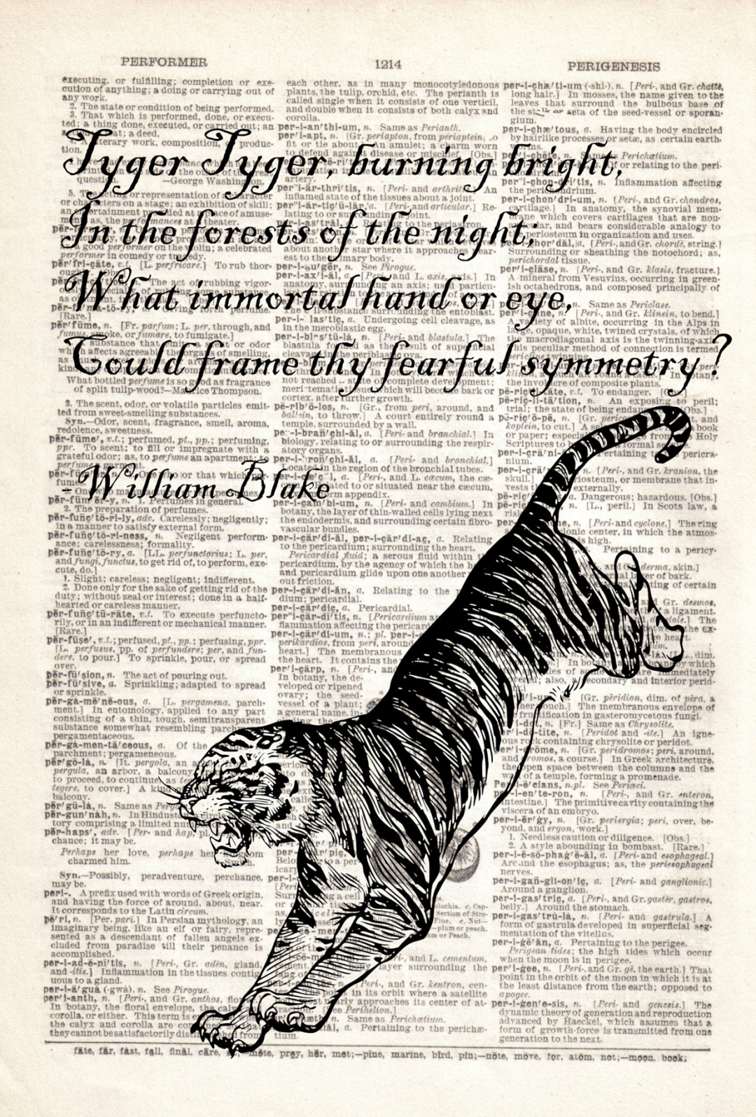 老虎|威廉 · 布莱克__财经头条