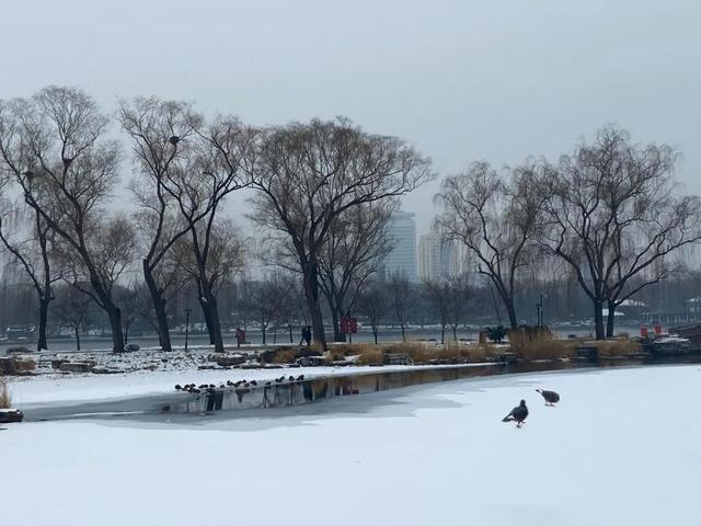 如何拍好雪景？掌握这几个关键点，照片不会差休闲区蓝鸢梦想 - Www.slyday.coM