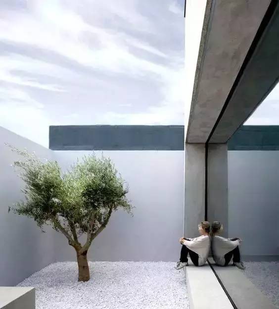 一面白墙美了一个院子