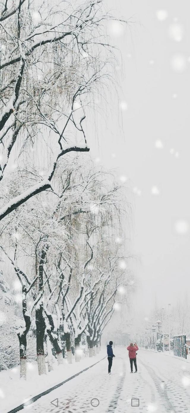 如何拍好雪景？掌握这几个关键点，照片不会差休闲区蓝鸢梦想 - Www.slyday.coM