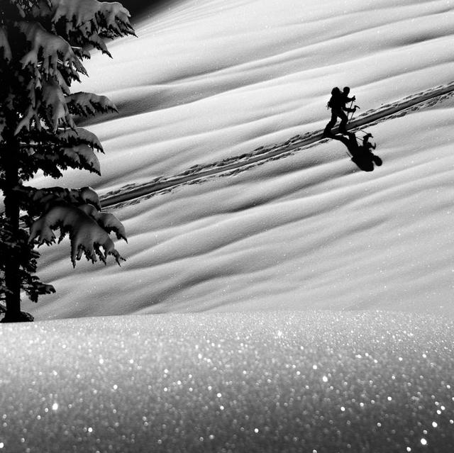 如何拍好雪景？掌握这几个关键点，照片不会差休闲区蓝鸢梦想 - Www.slyday.coM