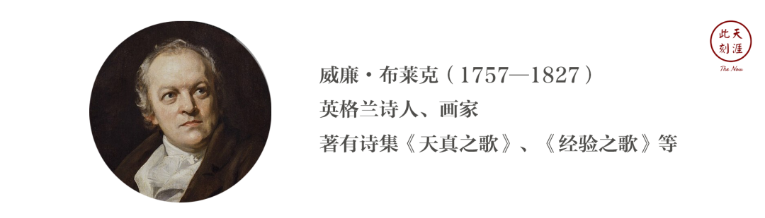 老虎威廉布莱克