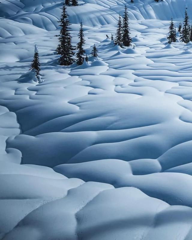 如何拍好雪景？掌握这几个关键点，照片不会差休闲区蓝鸢梦想 - Www.slyday.coM