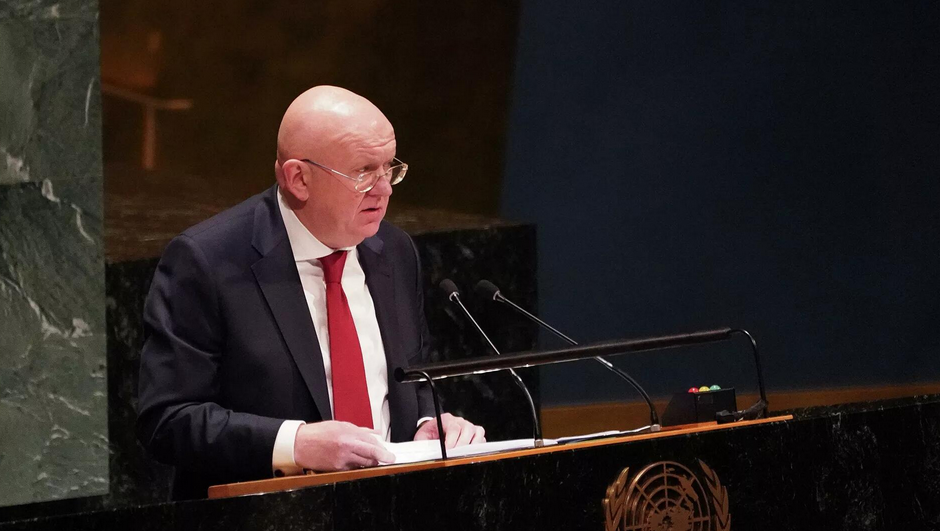 涅边贾 资料图