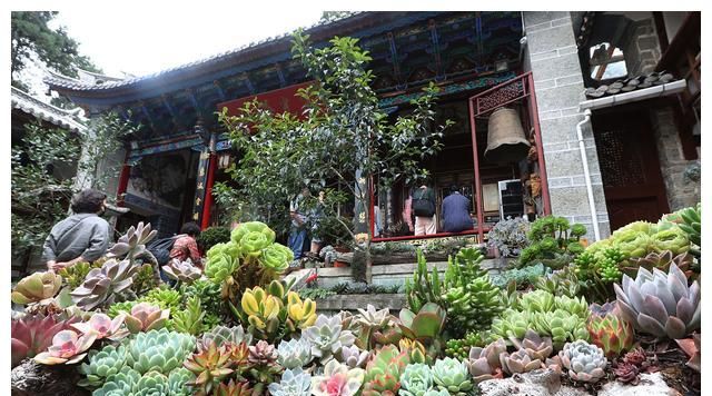 参考多肉原生环境,不难理解多肉为什么会有明显的生长期和休眠期休闲区蓝鸢梦想 - Www.slyday.coM 参考多肉原生环境,不难理解多肉为什么会有明显的生长期和休眠期休闲区蓝鸢梦想 - Www.slyday.coM