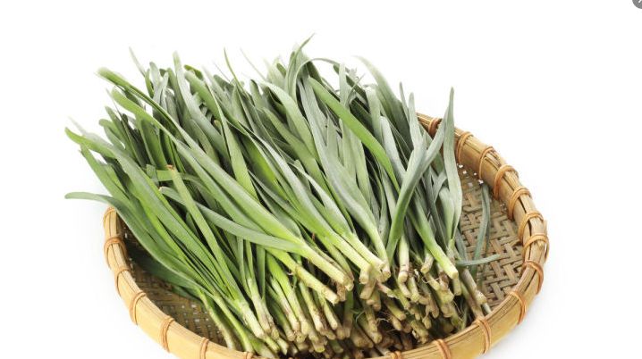 大年初二，这5种菜记得要上桌！寓意：财源广进，做生意的要多吃休闲区蓝鸢梦想 - Www.slyday.coM