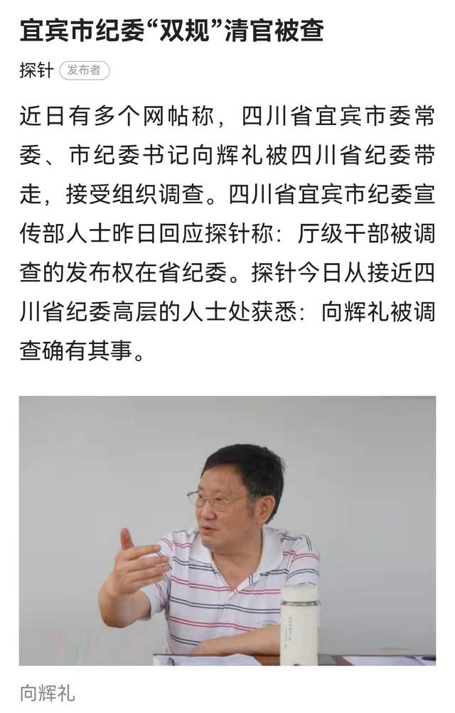 向辉礼被撤职5年仍举报不断被指帮助女商人0元获得企业股权