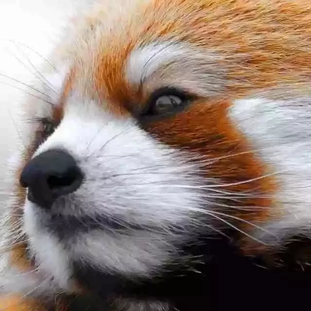 解忧休闲区蓝鸢梦想 - Www.slyday.coM