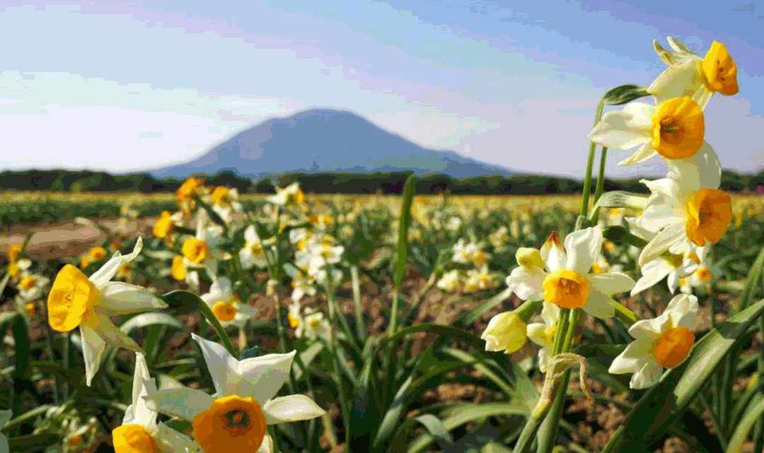 大年初二，文旅送福！“福”文化主题线路，邀您福气满满过大年！休闲区蓝鸢梦想 - Www.slyday.coM