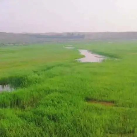 闪闪发光的内蒙古，一看就会很来电！休闲区蓝鸢梦想 - Www.slyday.coM