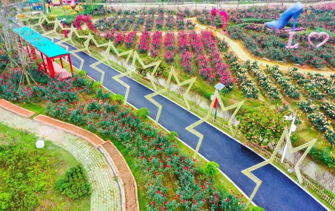 花海温泉草莓宴海鲜餐春节去珠海斗门一路吃喝玩乐