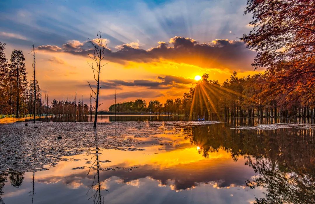 【探索】今天是“世界湿地日”，一起赏魔都湿地风光吧休闲区蓝鸢梦想 - Www.slyday.coM