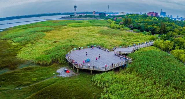 今天是“世界湿地日”，一起赏魔都湿地风光吧休闲区蓝鸢梦想 - Www.slyday.coM