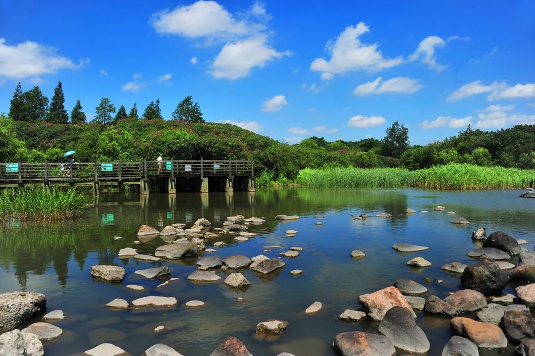 【探索】今天是“世界湿地日”，一起赏魔都湿地风光吧休闲区蓝鸢梦想 - Www.slyday.coM