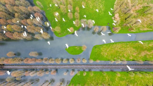 今天是“世界湿地日”，一起赏魔都湿地风光吧休闲区蓝鸢梦想 - Www.slyday.coM