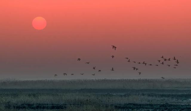 今天是“世界湿地日”，一起赏魔都湿地风光吧休闲区蓝鸢梦想 - Www.slyday.coM