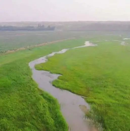 闪闪发光的内蒙古，一看就会很来电！休闲区蓝鸢梦想 - Www.slyday.coM