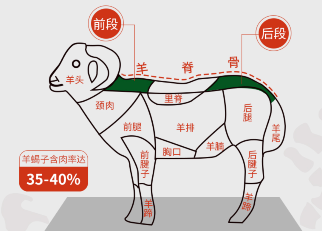 人均30吃顿老北京羊蝎子火锅5分钟开吃肉多汤鲜好吃不膻只用内蒙草原