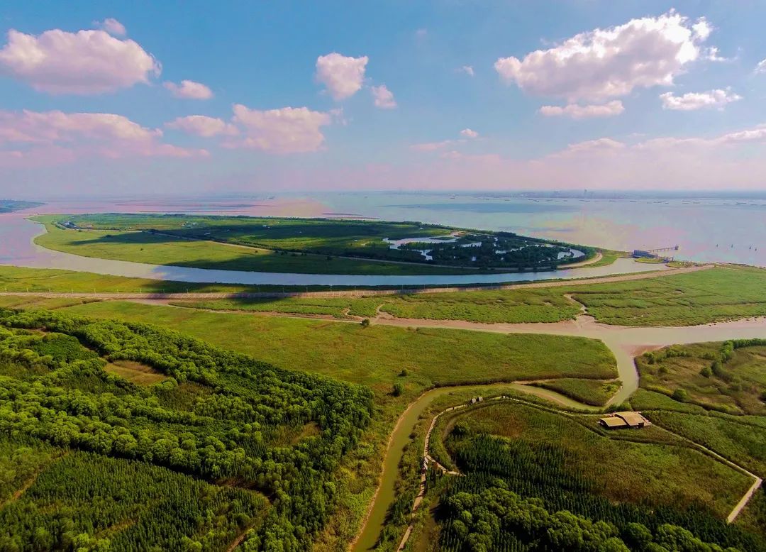 【探索】今天是“世界湿地日”，一起赏魔都湿地风光吧休闲区蓝鸢梦想 - Www.slyday.coM