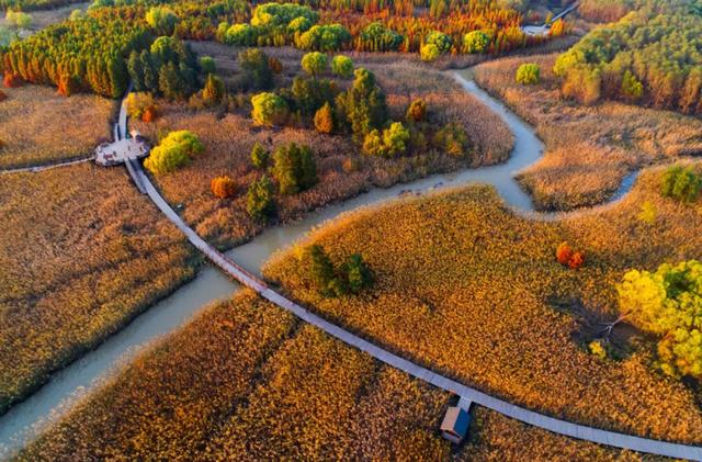 今天是“世界湿地日”，一起赏魔都湿地风光吧休闲区蓝鸢梦想 - Www.slyday.coM