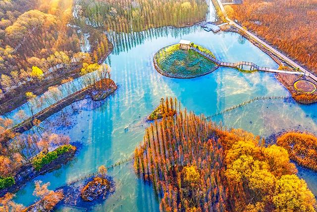 今天是“世界湿地日”，一起赏魔都湿地风光吧休闲区蓝鸢梦想 - Www.slyday.coM