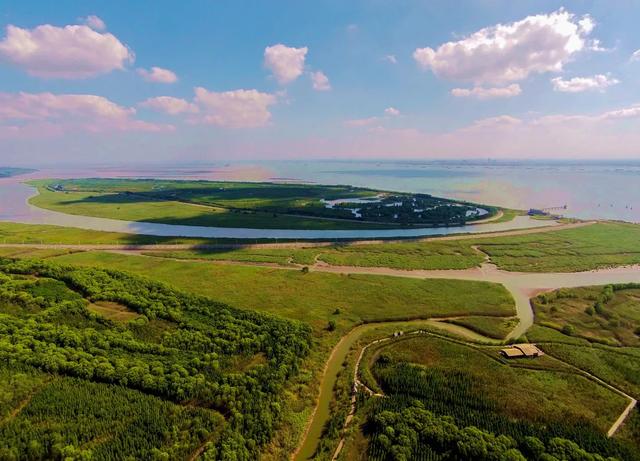 今天是“世界湿地日”，一起赏魔都湿地风光吧休闲区蓝鸢梦想 - Www.slyday.coM