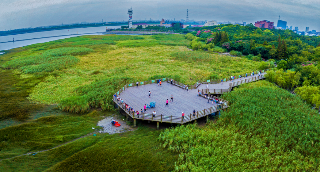 【探索】今天是“世界湿地日”，一起赏魔都湿地风光吧休闲区蓝鸢梦想 - Www.slyday.coM