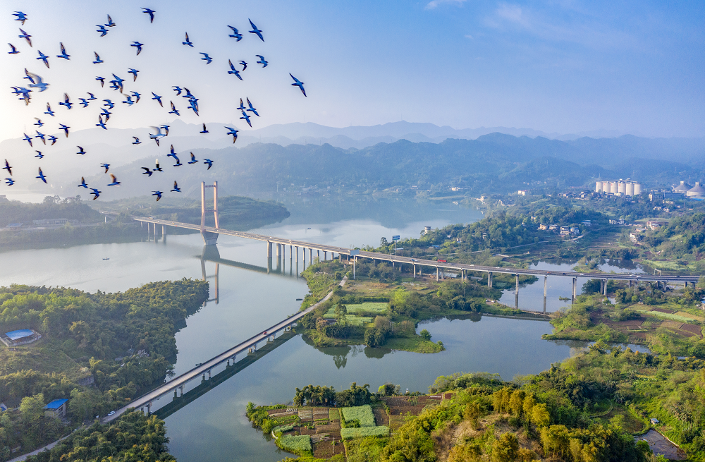 重庆合川三江国家湿地公园