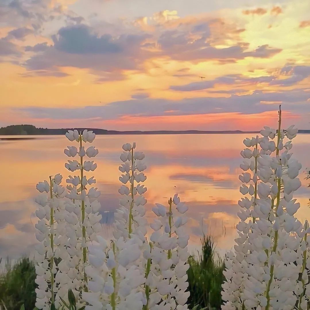 你好，大年初三休闲区蓝鸢梦想 - Www.slyday.coM