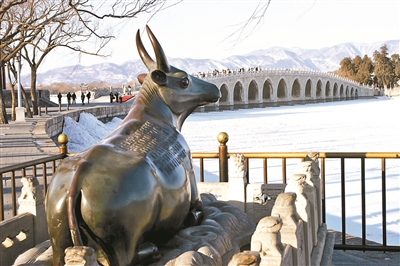 北京冬奥会火炬接力今日启动休闲区蓝鸢梦想 - Www.slyday.coM