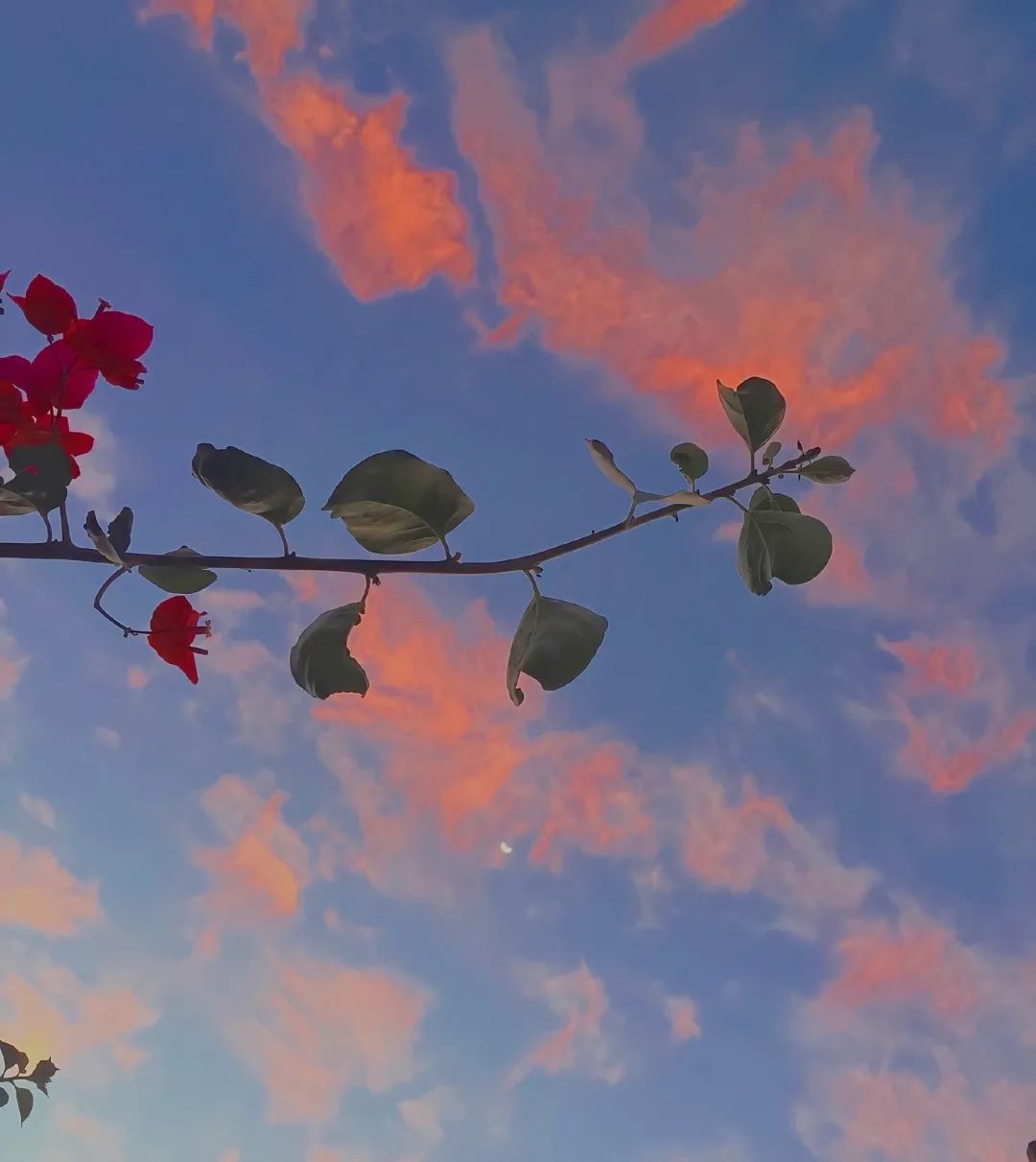 你好，大年初三休闲区蓝鸢梦想 - Www.slyday.coM