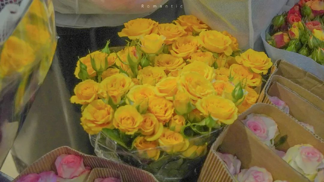 你好，大年初三休闲区蓝鸢梦想 - Www.slyday.coM