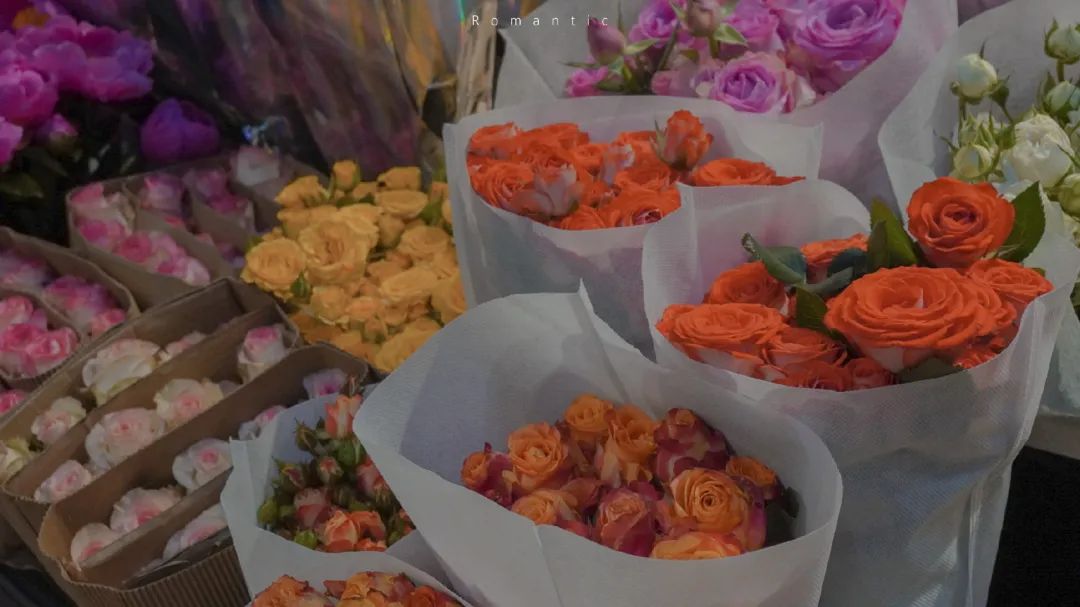 你好，大年初三休闲区蓝鸢梦想 - Www.slyday.coM