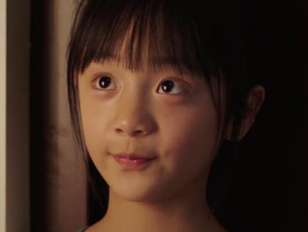 《完美伴侣》电视剧全12集免费)在线完整观看【1080高清】中字完整已