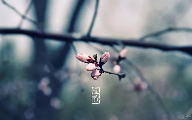 明日立春，常吃2粥，坚持4个原则，一年健康少生病！休闲区蓝鸢梦想 - Www.slyday.coM