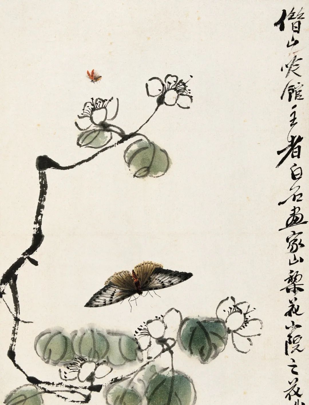 精品欣赏齐白石花草工虫册