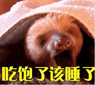 蓄势待发洛阳大发展700万人生活迎来巨变