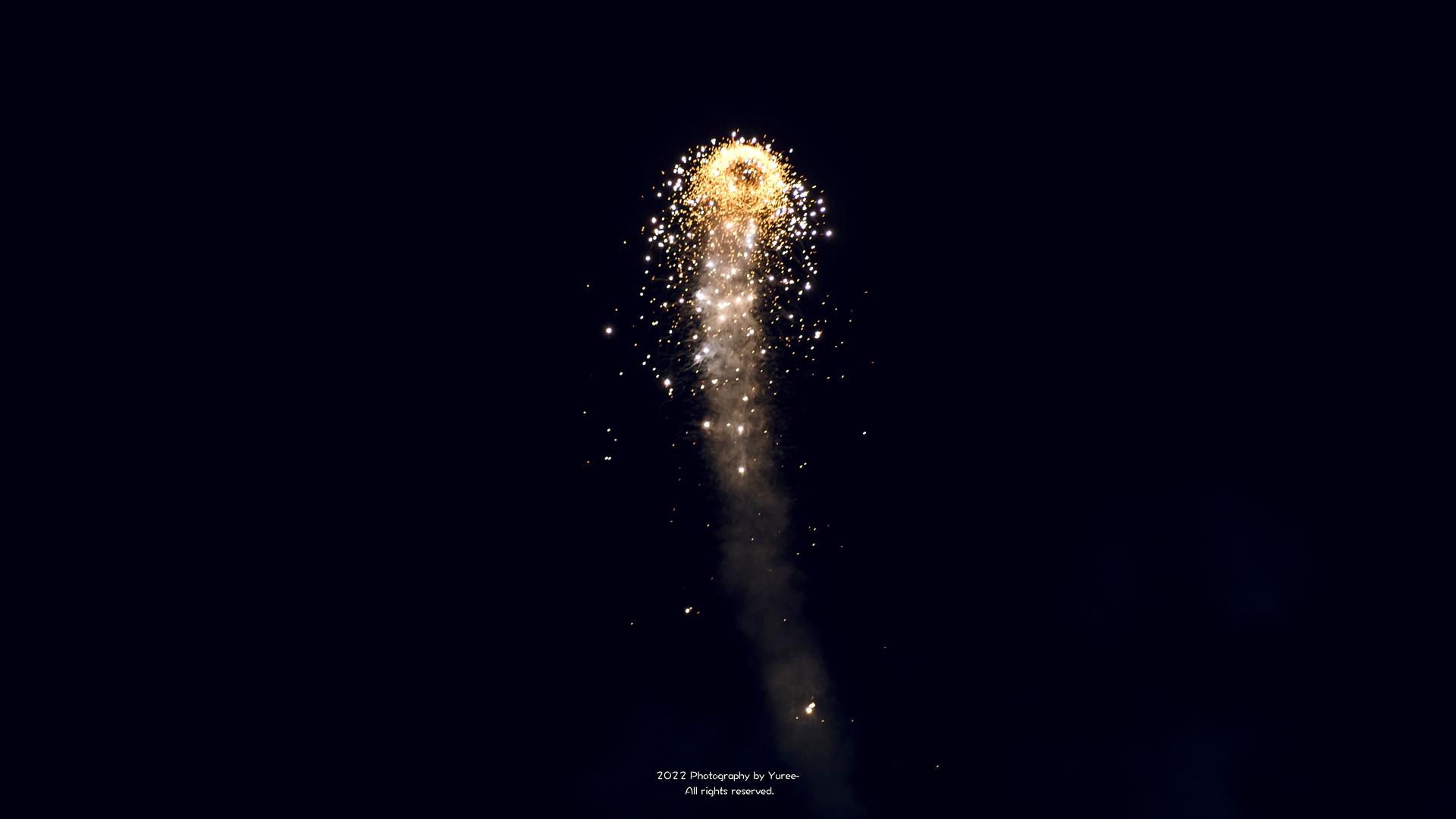 水母烟花蹿上热搜应急管理部发出安全提醒行业协会将针对性制定安全