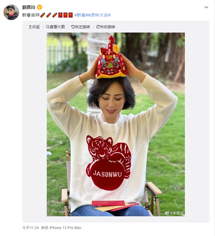 刘嘉玲罕晒近照头顶布艺小老虎笑容满面