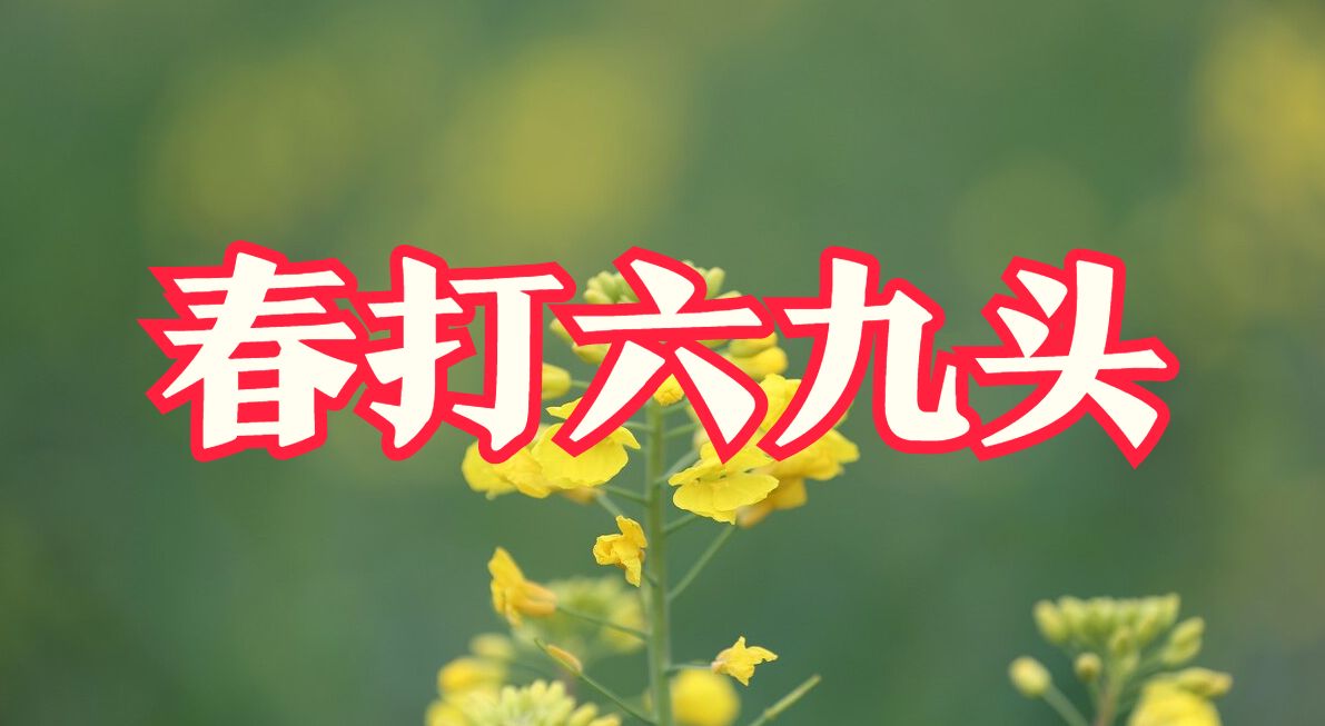 天气预报今日进六九六九遇立春有啥预兆看看农谚俗语咋说