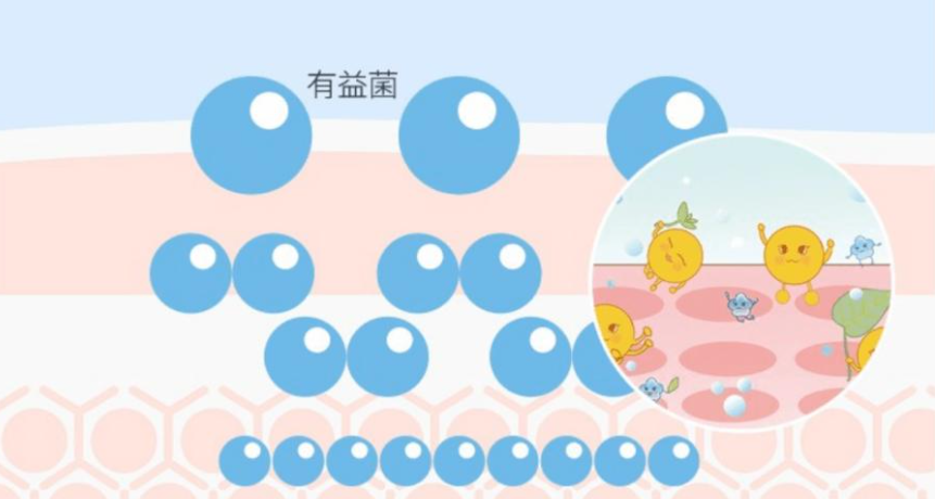 控油去屑八分钟洗发水