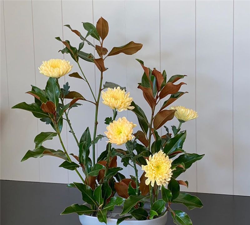 神秘迷人，深不可测的星座：眼睛会说话，爱你也可以放下你休闲区蓝鸢梦想 - Www.slyday.coM