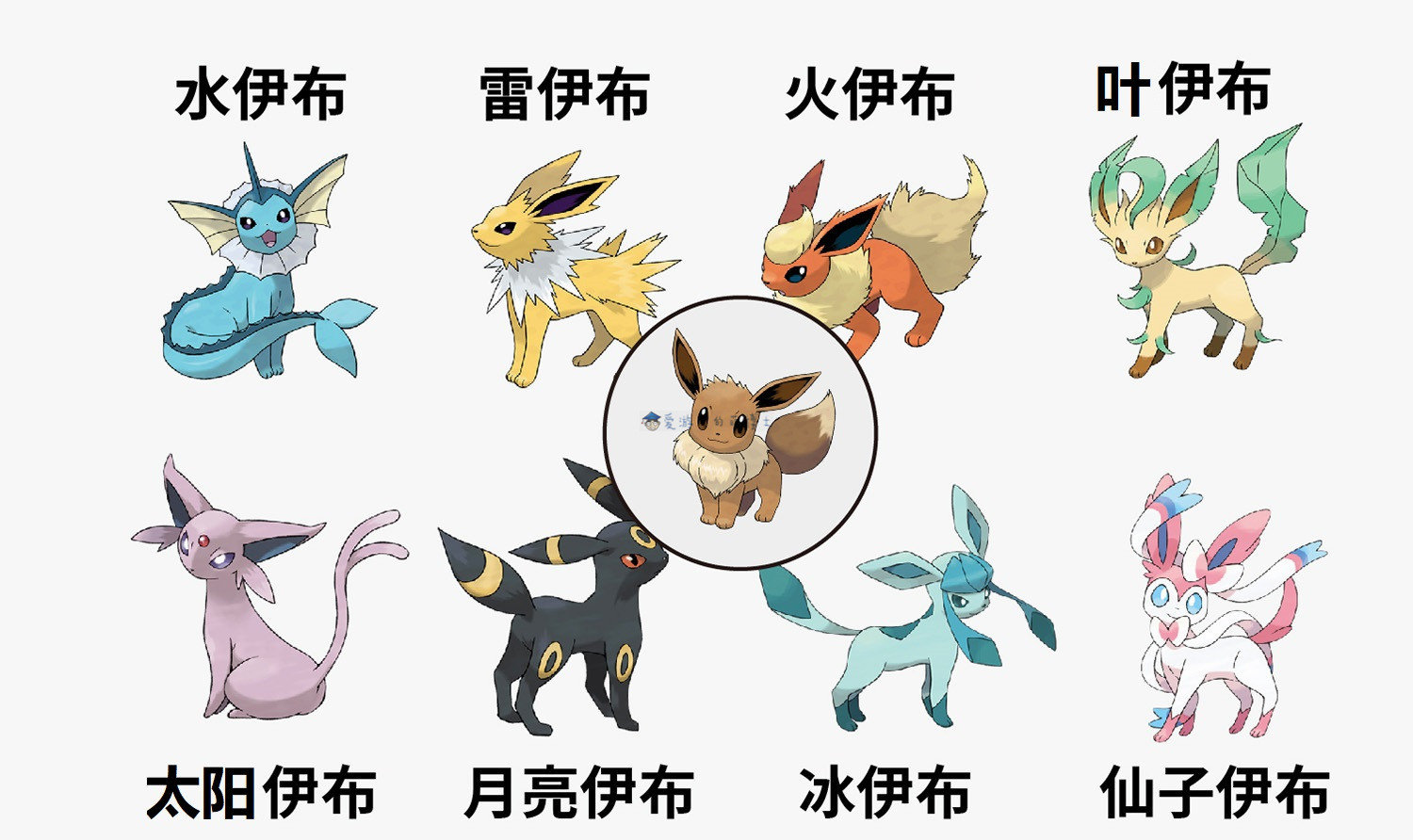 在宝可梦传说阿尔宙斯中如何凑齐伊布家族