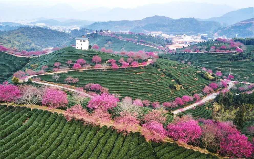 大年初四，遇立春迎冬奥丨水与立春休闲区蓝鸢梦想 - Www.slyday.coM