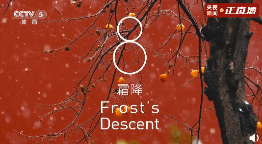 张艺谋太懂中国人的浪漫了！休闲区蓝鸢梦想 - Www.slyday.coM