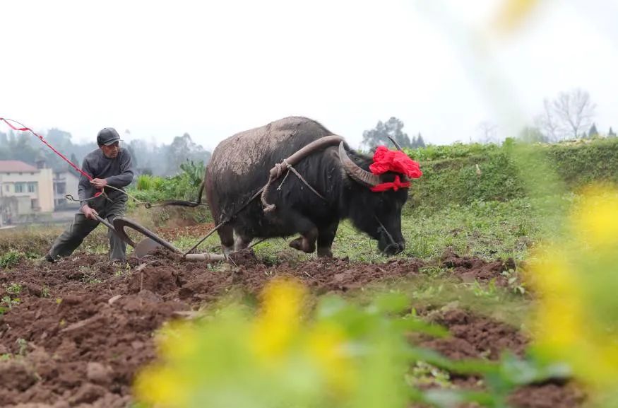 大年初四，遇立春迎冬奥丨水与立春休闲区蓝鸢梦想 - Www.slyday.coM