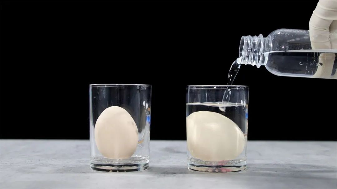 科学小实验鸡蛋放在冷水和热水中一对比大部分人都没发现隐藏的秘密