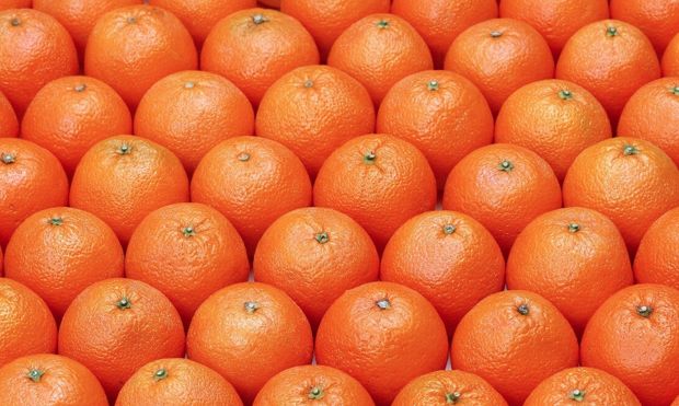 大年初六开门红,六六大顺、迎财纳福的好日子,我们该干点啥?休闲区蓝鸢梦想 - Www.slyday.coM 大年初六开门红,六六大顺、迎财纳福的好日子,我们该干点啥?休闲区蓝鸢梦想 - Www.slyday.coM