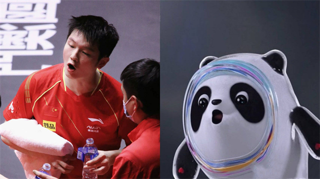 太像了！樊振东撞脸冰墩墩，孙颖莎撞脸雪容融，国乒两大队宠太萌休闲区蓝鸢梦想 - Www.slyday.coM